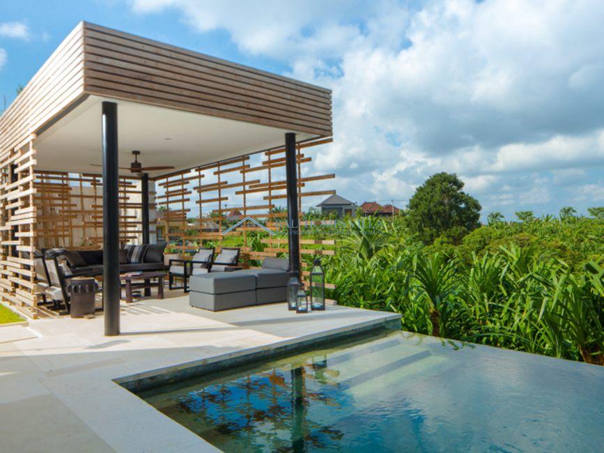 villa 5 bedroom rice field view canggu for sale 1