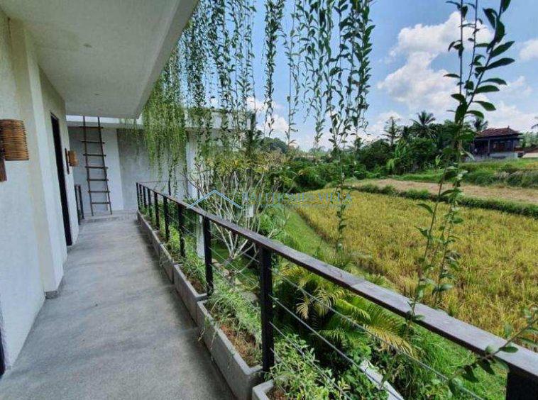 star hotel boutique hotel villas complex villas yoga shala co working big land new build imb great investment rice field view infinity pool ubud for sale
